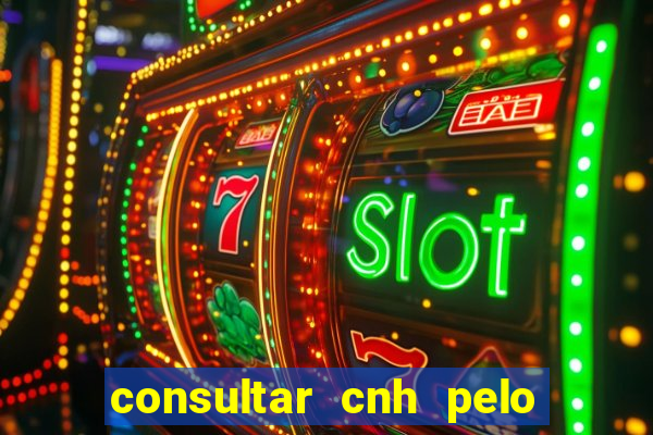 consultar cnh pelo cpf sp